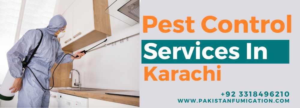 Pest Control Services in Karachi