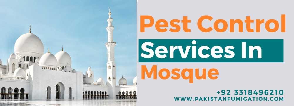 Pest Control Services For Mosque (Masjid) in Karachi Pakistan
