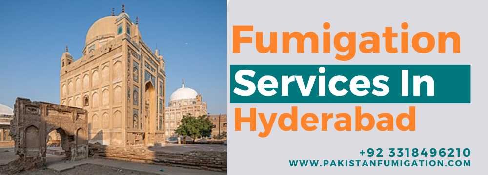 Fumigation Services In Hyderabad Pakistan