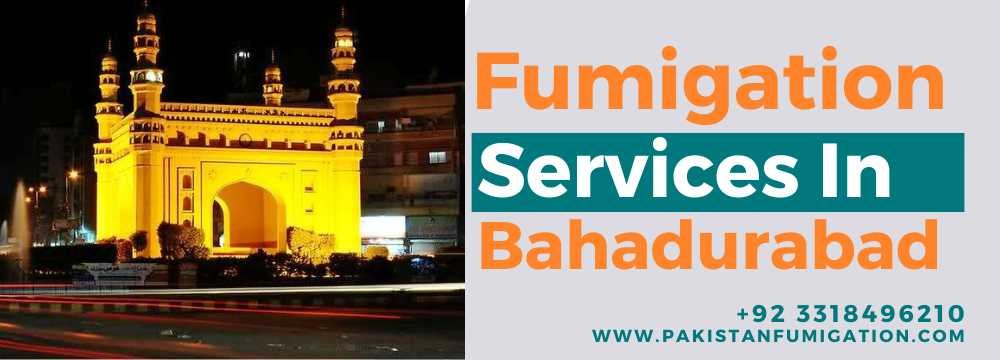 Fumigation Services in Bahadurabad