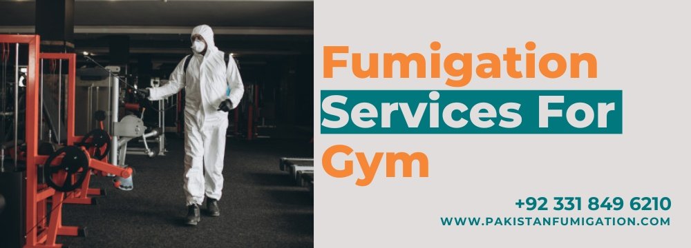 Fumigation Services For Gym