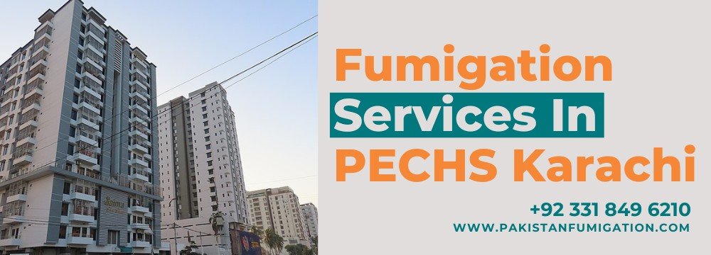 Fumigation Services In PECHS Karachi