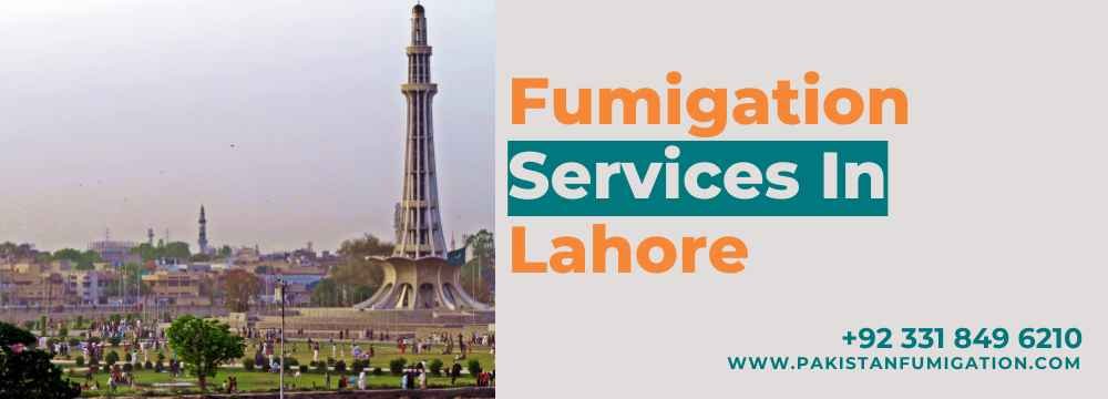 Fumigation Services In Lahore