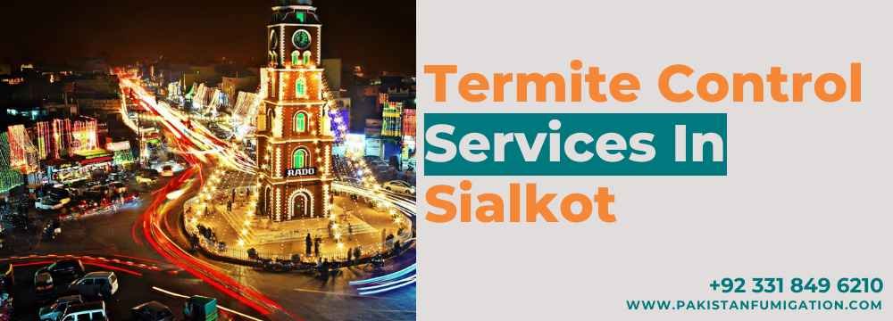 Termite Control Services In Sialkot