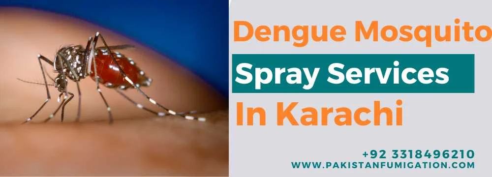 Dengue-Mosquito-Spray-Services-in-Karachi (1)