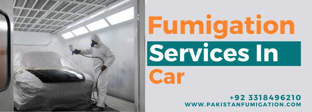 Fumigation-Services-In-Car