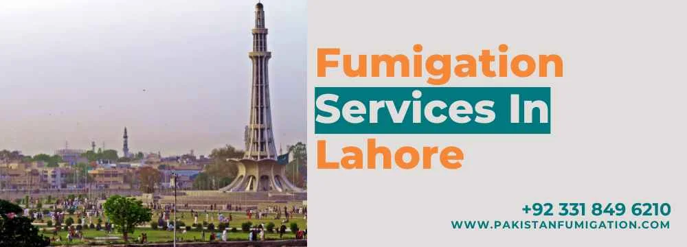 Fumigation Services in Lahore