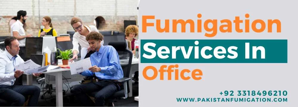 Pest Control Services For Offices in Karachi