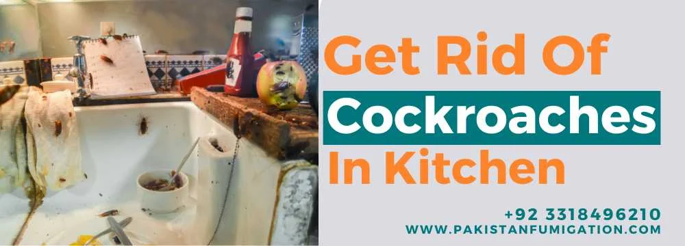 Get-Rid-Of-Cockroaches-In-Kitchen