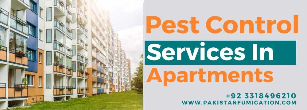 Pest Control Services For Apartments in Karachi