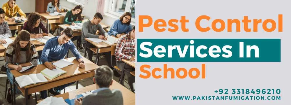 Pest Control Services for School in Karachi