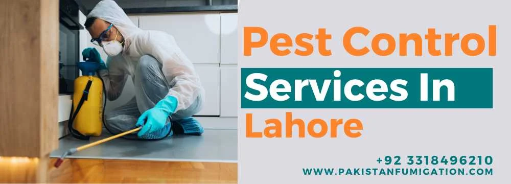 Pest-Control-Serviecs-In-Lahore