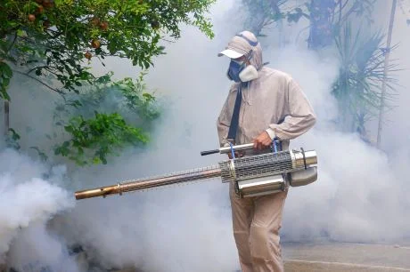 Dengue Mosquito Control