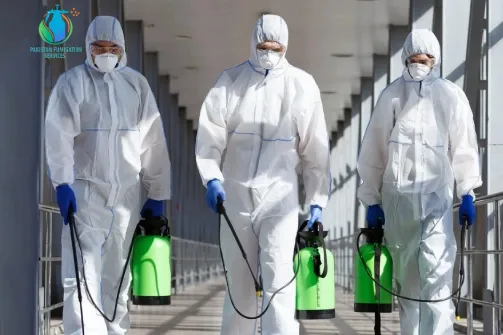 Pakistan Fumigation Performed Fumigation Spray Office at Karachi